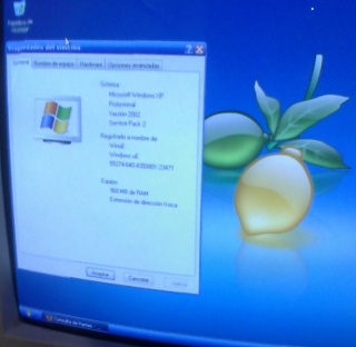 Windows XP ilegal MSA 1